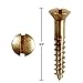 Renovator's Supply Brass Oval Head Wood Screws 6 3/4 inch Set of 25