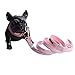 ARING PET Dog Collar and Leash, Velvet Dog Collar and Leash Set, Soft & Comfy, Adjustable Collars for Dogsthumb 2
