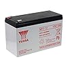 Yuasa NP7-12 Batterie au Plomb, 12 V 7 Ah, VDS