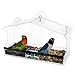 Large Premium Window Bird Feeder Squirrel Proof -3 Heavy Duty Strong Suction Cups Hooks Drain Hole Removable Tray Perch Sliding Feed 100% Clear Acrylic- Easy to Clean Great Gift for All Weather.