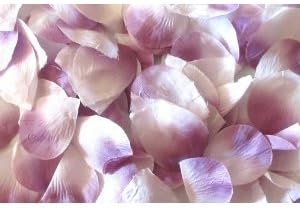 Tanday Lavender 400 Pre-Cut Silk Rose Petals Wedding Party Favors.