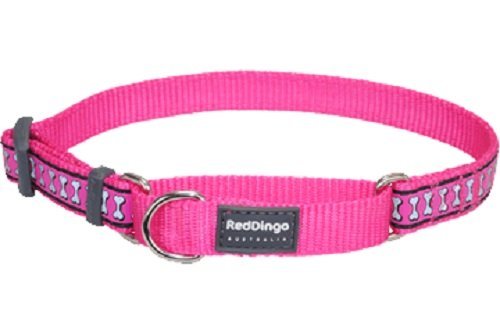 Red Dingo Martingale Collar Reflective Bones, Small, Hot Pink