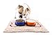 Soggy Doggy Slopmat | Beige/Red Bone | 18” x 24″ | Water Absorbing Door Mat for Food and Water | Microfiber Chenille Rug for Muddy Paws and Messy Eaters | Machine Washable