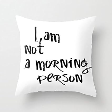 Funny Pillow Cases Funny Pillow Throw Pillow Cover Pillows With