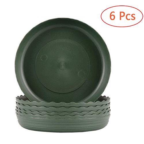 MYXC Plant Saucers 6 Inch Drip Trays Green Plastic Tray Saucers for Indoor & Outdoor Flower Pot Round (6 Pack)