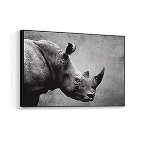 NWT Framed Canvas Wall Art for Living Room,...