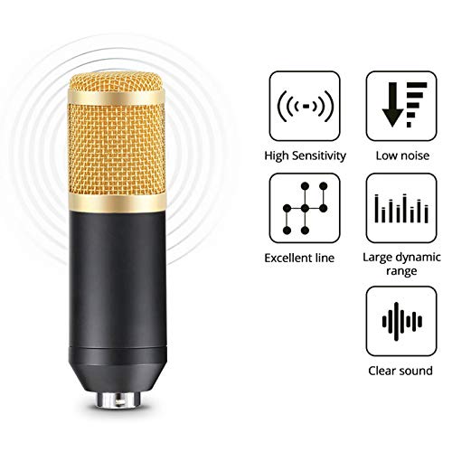 Puyong BM-800 Condenser Microphone Kit, Recording Kit with Adjustable Microphone Holder and Double-Layer Filter, Studio Microphone for Professional Recording Broadcasting Singing,Navy Blue