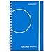 AT-A-GLANCE Planning Notebook, Two Days Per Page, 9 x 6 Inches, Blue (984-6203)