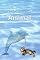 Livro Espiritualidade Animal