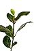 9Greenbox Bay Laurel Herb Pot Set, 4 Inch x 4 Inch, (Pack of 4)