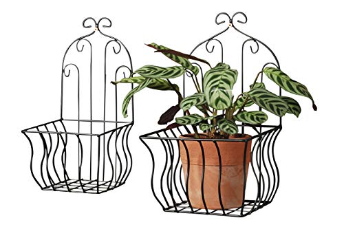 WHW Whole House Worlds French Country Wall Baskets for Plants, Set of 2, Crested Arabesque, Curled Iron, Black, Garden Pot Holders, 7 3/4 x 13 3/4 and 6 1/4 x 12 1/2 Inches