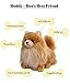 Gund Boo & Buddy Plush Stuffed Dog Toy Cutest Dog in the World (Buddy)