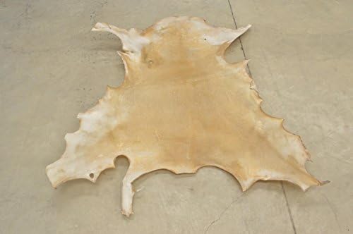 The Leather Guy - Leather Deerskin Rawhide Drum Head 34" x 17" Large 1-2 Ounces Deer-6