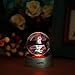 AXAYINC 3D Crystal Ball LED Night Lights Advance Laser Engraving Children's Gift (CM)