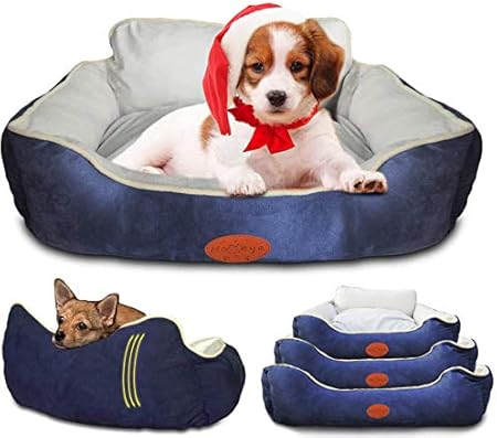 washable puppy bed