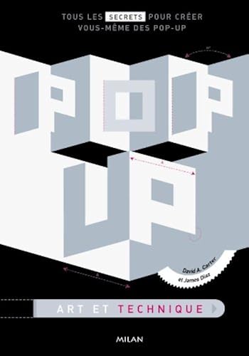Download Pop up Art et Techniques PDF