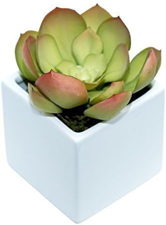 Faux Succulent in White Ceramic Pot Vase Artificial Potted Echeveria in Green and Red