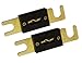 Absolute USA ANL60-2 2 Pack ANL 60 Amp Gold Plated Fuse