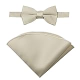 Spring Notion Boys' Satin Bow Tie and Handkerchief