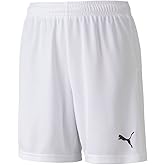 Puma Unisex-Youth Youth Teamgoal 23 Knit Shorts