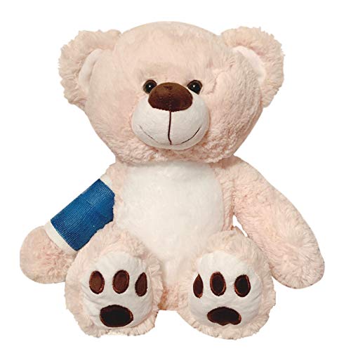 Compare price to broken arm bear