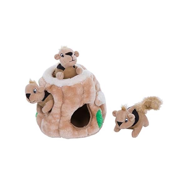 squirrel squeaky dog toy
