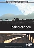 Being Caribou