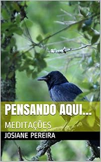 Livro PENSANDO AQUI...: MEDITAÇÕES