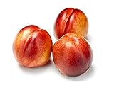 Locally Grown Nectarines, 1 Pound