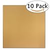 Homey-10-Pack-Flexible-Reusable-and-Resizable-Non-Stick-Teflon-Food-Dehydrator-Sheets-14×14-Inches