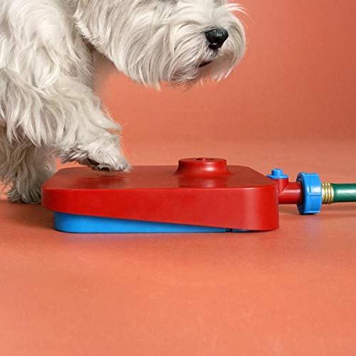 Quirky Pawcet Pet Fountain -Pressure Pedal Activated Pet Water Fountain for Dogs - Thumbnail 2