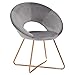 Duhome Modern Velvet Accent Chairs Upholstered Vanity Chairs Make-up Stool Home Office Guest Reception Chair Arm Leisure Chairs Dining Chair with Golden Legs Mid-Back for Living Room 1 pcs Grey
