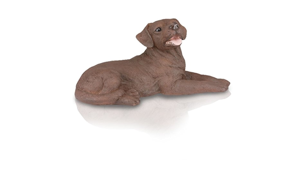 chocolate lab urn