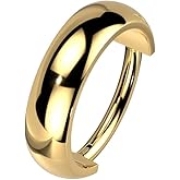 Pierced Owl 16GA G23 Implant Grade Titanium Thick Domed Cuff Hinged Segment Ring