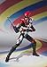 Bandai Tamashii Nations akibaranger Super AkibaRed Action Figure by S.H.Figuarts