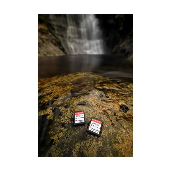 Manfrotto 128 GB SD Professional Speicherkarte, UHS-II, V90, U3 280 MB/s Lesen, 250 MB/s Schreiben, Speicherkarte für… – Bild 8