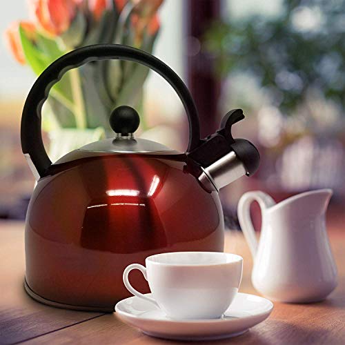 2.5 Liter Whistling Tea Kettle Modern Stainless Steel Whistling Tea