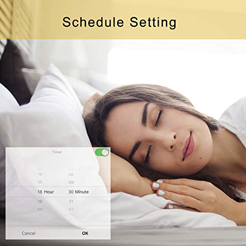 Wixann Smart Led Floor Lamp - WiFi Torchiere Floor Lamp Work with Alexa Google Home, 2000LM Super Bright Dimmable Color Changing Modern Standing Lamp for Living Rooms Bedroom Offices - Black