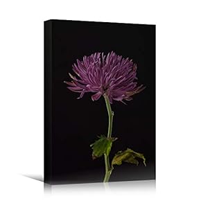 signwin Canvas Wall Art Purple Flower Portraiture Colorful...