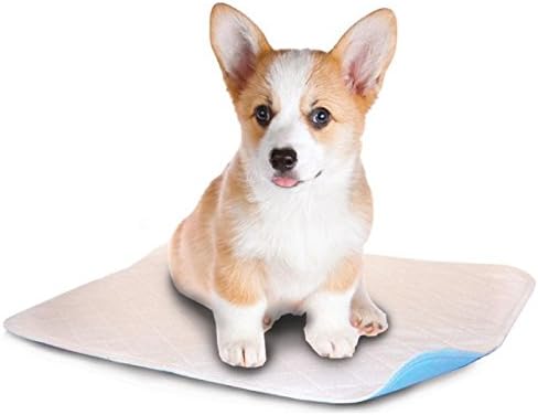 Lennypads Washable Dog and Puppy Pee Pads, Ultra Absorbent, Leak-Proof and Reusable Pet Pee Pads, Ideal for Training, Housebreaking, Incontinence and Travel - White