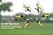 Tenergy TDR Robin Pro 5.8G FPV Drone
