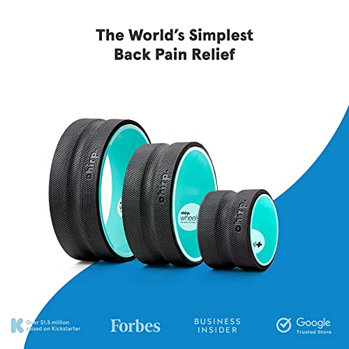 Chirp Wheel+ Foam Roller for Back Pain Relief, Muscle Therapy, and Deep Tissue Massage 3Pack