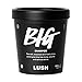 Big Shampoo by LUSH