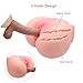 Sex Doll Male Masturbator Butt Realistic Big Ass Female Torso Doll with Vagina Anal Sex for Men Masturbation Adult Toy Sex Toy (Flesh Ass)