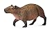 CollectA Capybara Figure