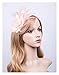 Cizoe Fascinators Hat for Women Tea Party Headband Kentucky Derby Wedding Cocktail Flower Mesh Feathers Hair Clip (B-Peach)