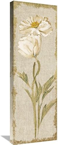 Global Gallery Cheri Blum 'Cosmo Panel on White Vintage' Giclee Stretched Canvas Artwork, 12" x 36"