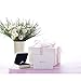 AmyHomie Artificial Flowers, Silk Daisy, Artificial Gerber Daisy for Home Decoration, Artificial Daisy for Wedding Decoration (white with leaves)
