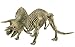 Geoworld Dino Excavation Kit - Triceratops Skeleton