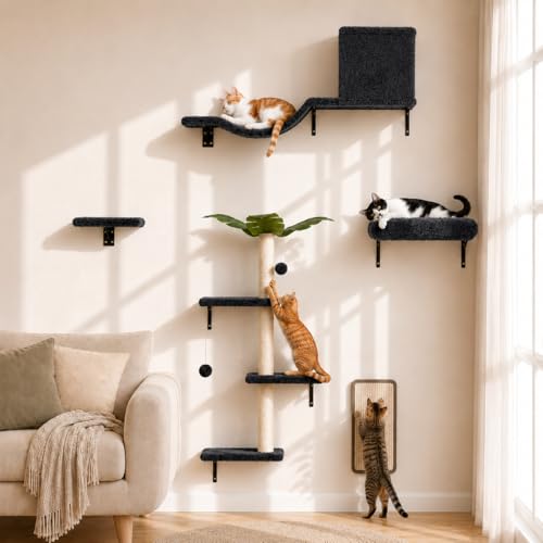 CAT 5-in-1 Wall Shelves
